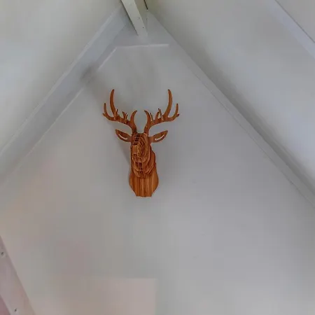 Panzió Larenstein Logeren In Tiny House