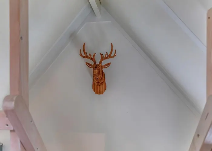 Couette-café Larenstein Logeren In Tiny House